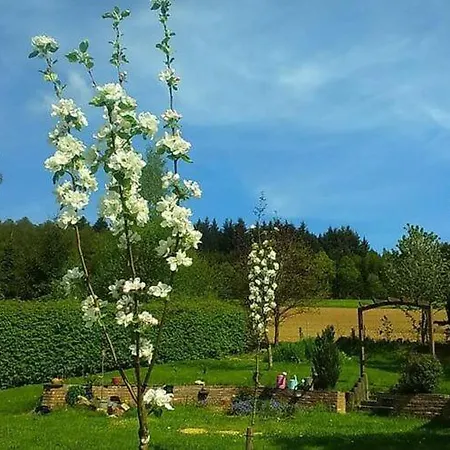 With Garden Terrace And Jacuzzi In Season In Holiday home